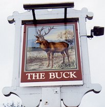 Honingham Buck - 26.05.1996