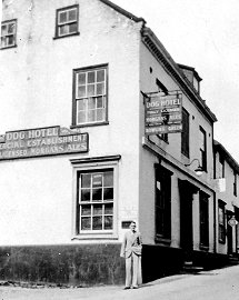 Aylsham Dog