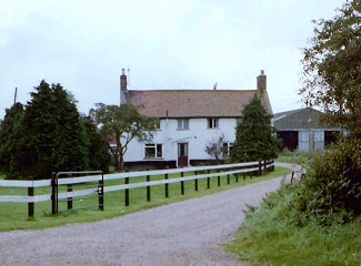 ex Bull - 1992