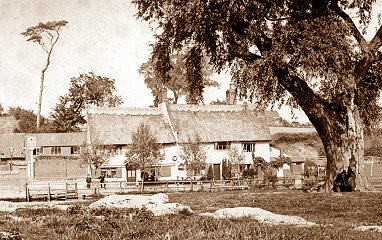 The original Cock - Lakenham - c1901