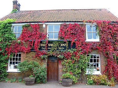 The SWAN - S. Wootton - Image by Paul Selwood.